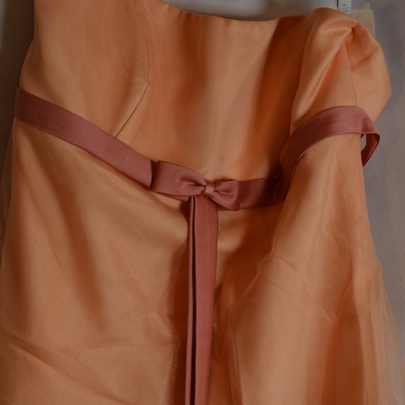 Alfred Angelo SZ 14 Organza-type Lined Strapless Dress - Picture 10 of 13